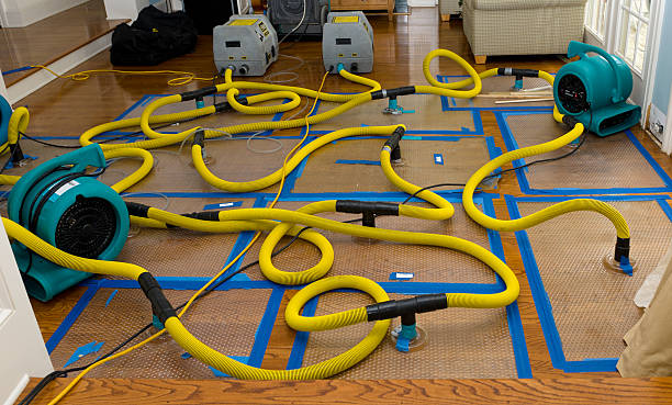 Professional Sewage Cleanup technician working in Williamston, SC